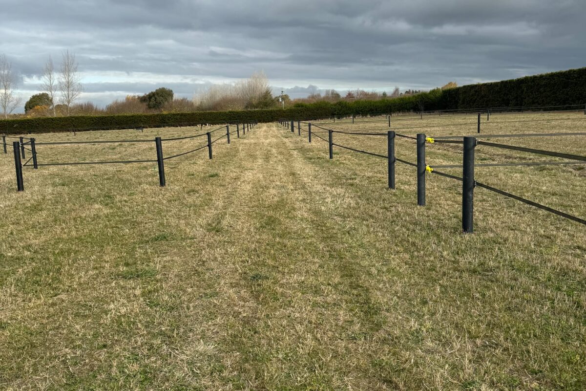 J_W_Fencing_caterbury_Equine Fencing 2